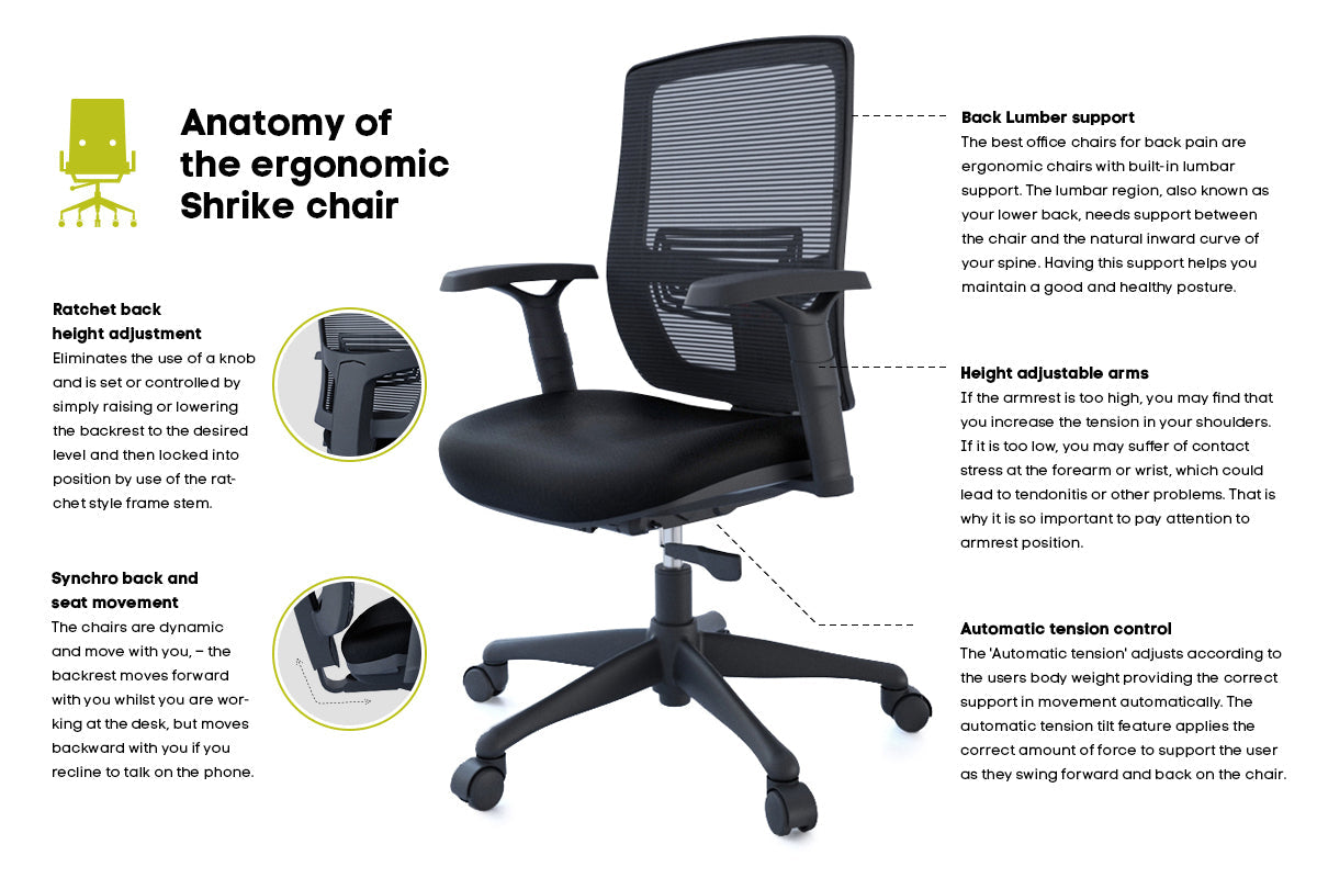 Shrike Ergonomic Office Chair - Adjustable Lumbar Support & Breathable Mesh Back - Home & Office Desk Chair for Long Hours Sitting - Perfect for Gaming, Working & Studying