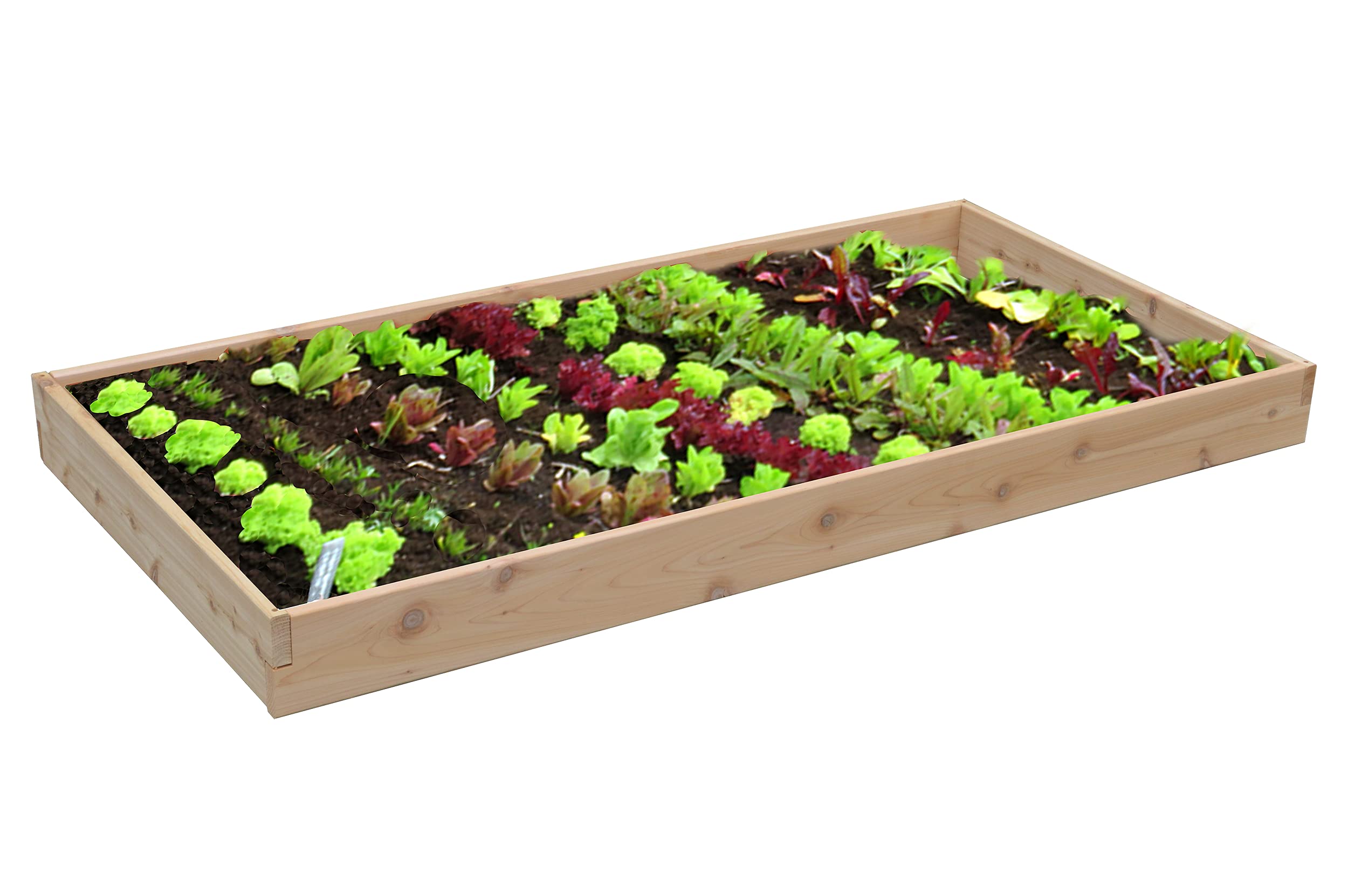 Amish-Made Red Cedar Wood Raised Vegetable Garden Bed - 5.5