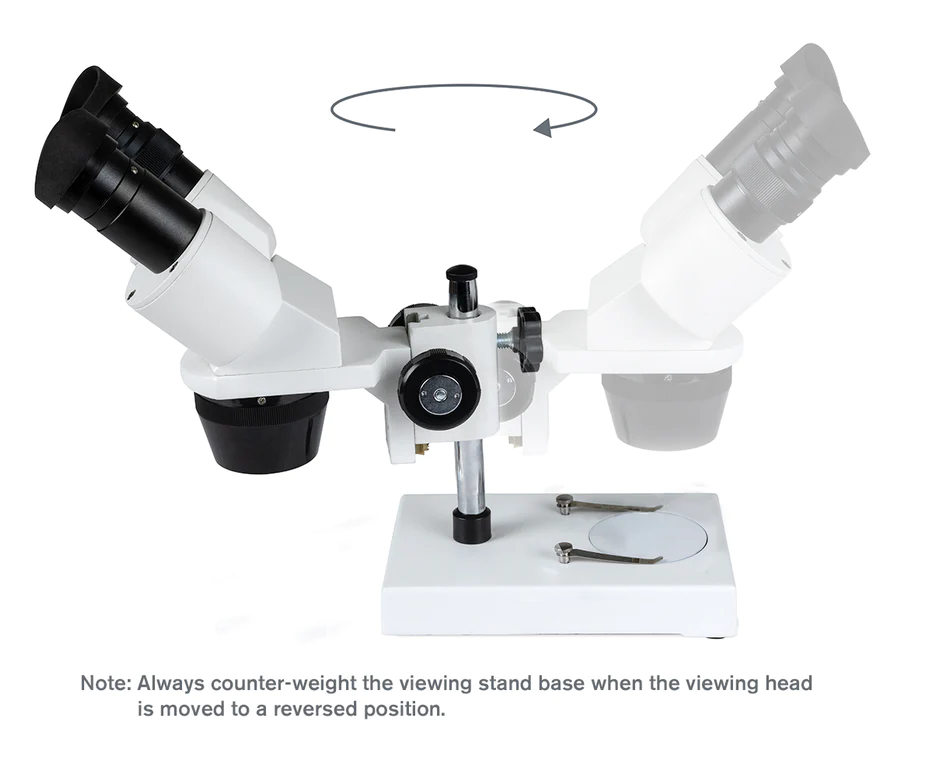 Celestron Labs S1030N Stereo Microscope 20x-40x Magnification for Kids & Adults - Perfect for Coin Collecting, Jewelry Inspection & Science Education