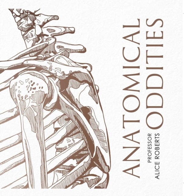 Anatomical Oddities - Unique Medical Models & Human Anatomy Collectibles for Education, Research & Home Decor