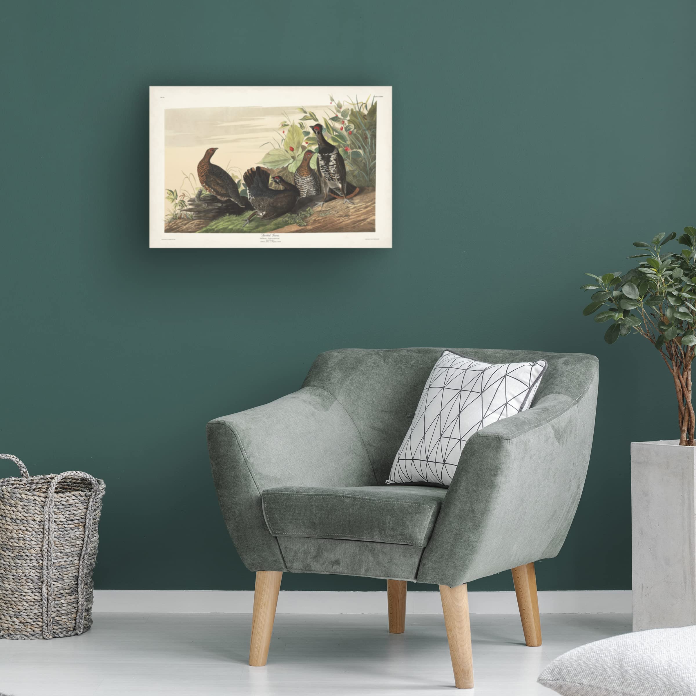 John James Audubon Spotted Grouse Canvas Art Print 12x19 - Premium Wildlife Wall Decor for Living Room, Office & Bedroom
