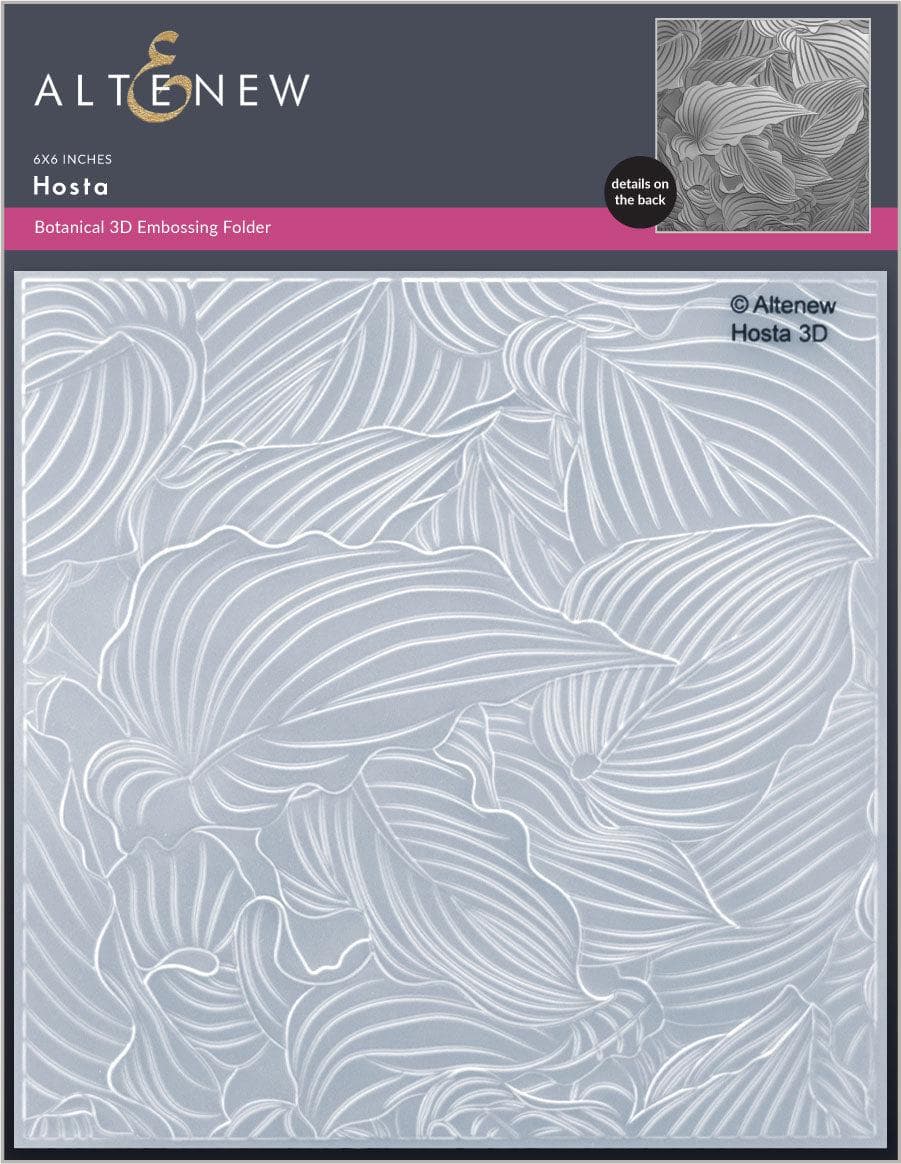 Hosta Plants for Sale - Perennial Shade Garden Flowers - Perfect for Landscaping, Borders & Container Gardening