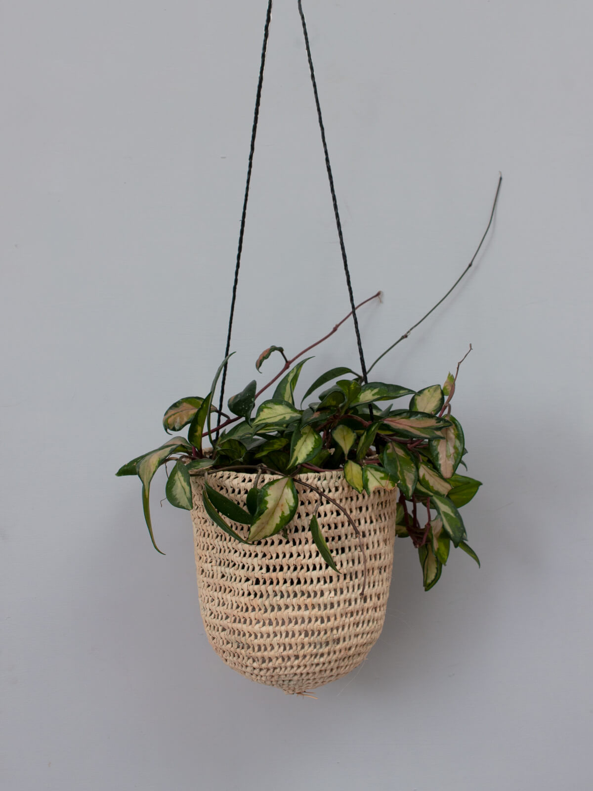 Black Open Weave Dome Hanging Baskets - Decorative Plant Holders for Indoor/Outdoor Gardens, Patios & Balconies