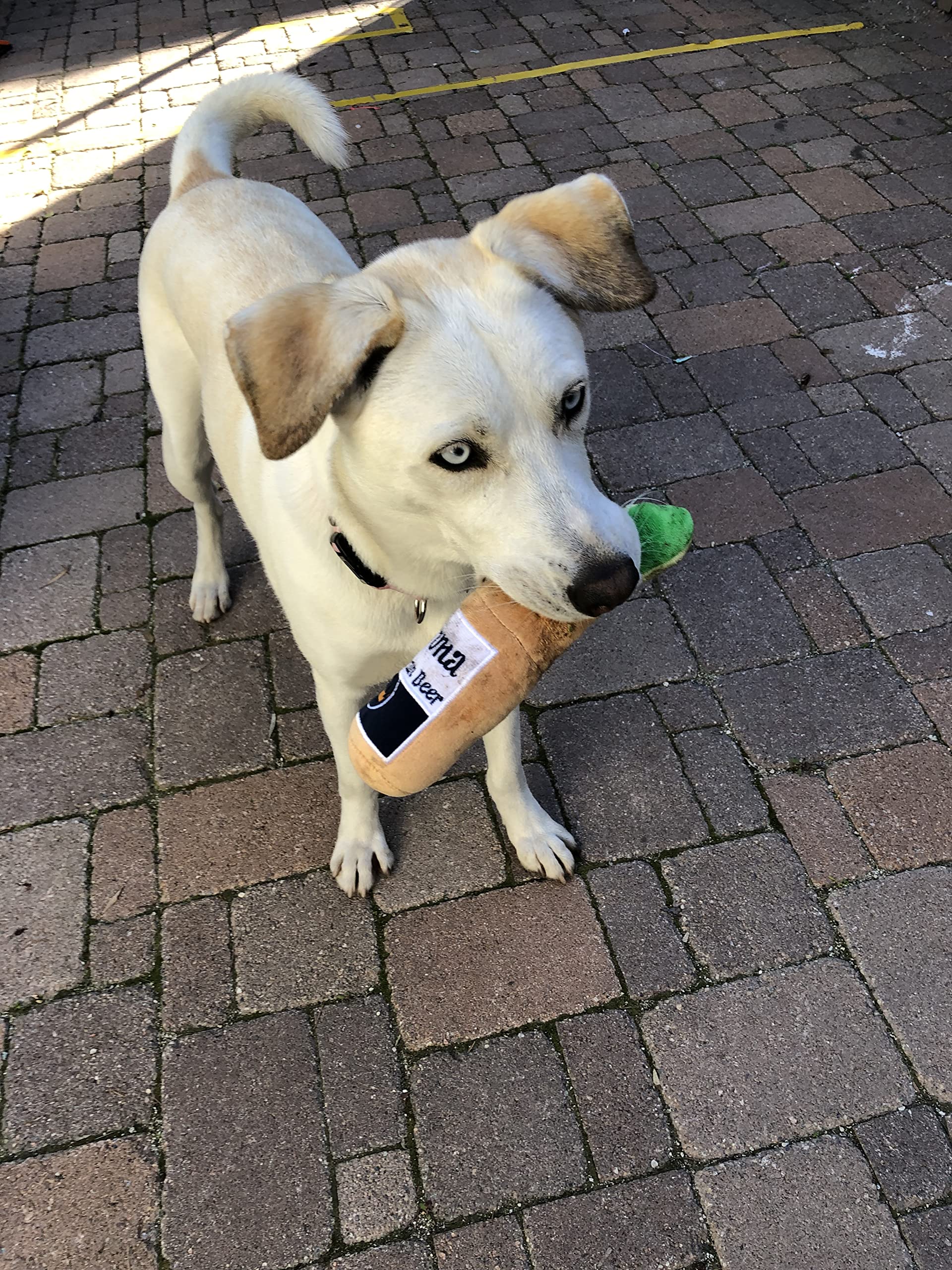 Soft Plush Beer Bottle Dog Toy - Fun Chew Toy for Small & Large Dogs, Perfect Birthday Gift & Holiday Party Favor (Grrrona) - Great for Playtime, Training Rewards & Puppy Teething Relief