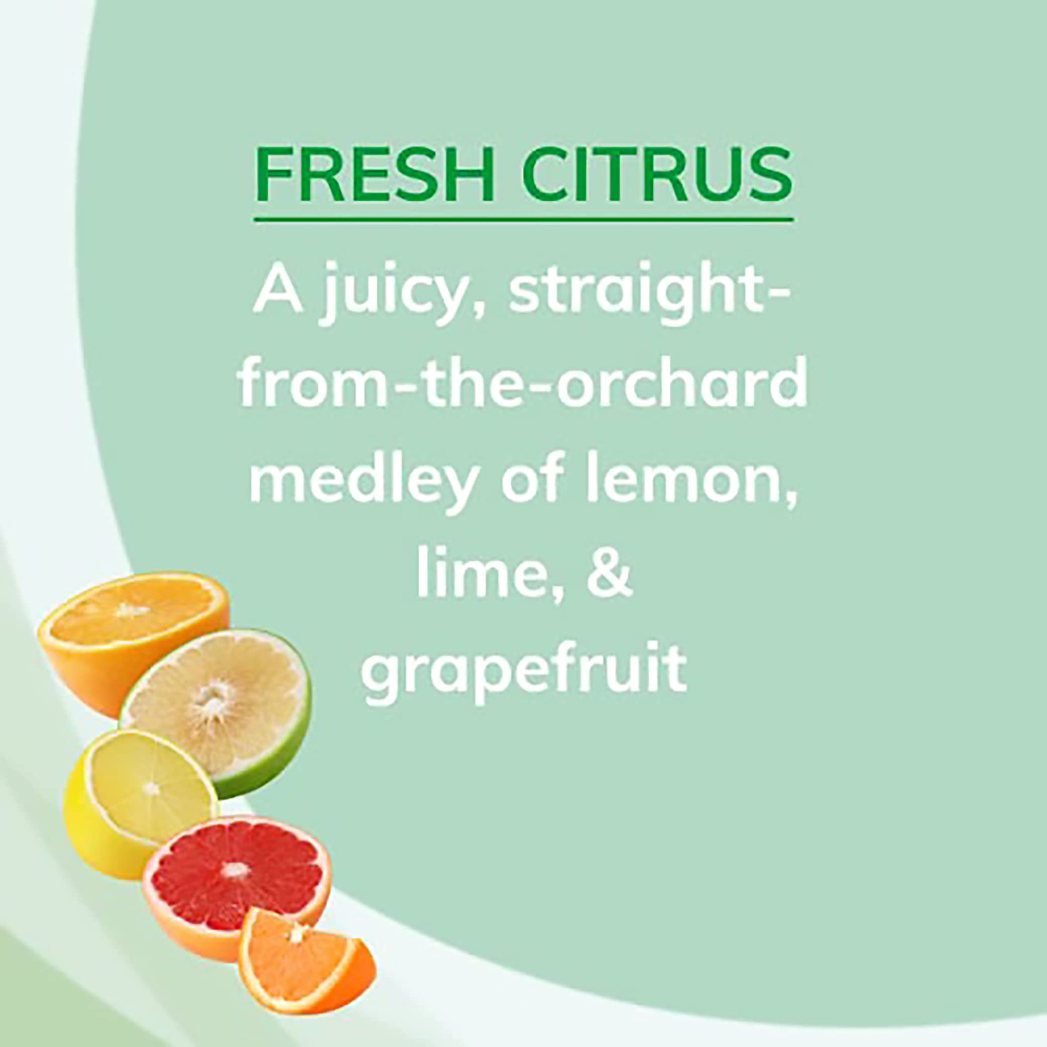 Citrus Magic Solid Air Freshener | Natural Home & Car Odor Eliminator | Long-Lasting Citrus Scent for Bathroom, Kitchen, Office & Closet