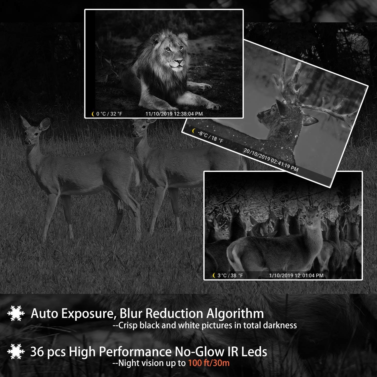 BLAZEVIDEO 4-Pack 32MP 1296P No Glow Trail Camera with Night Vision, 2.4