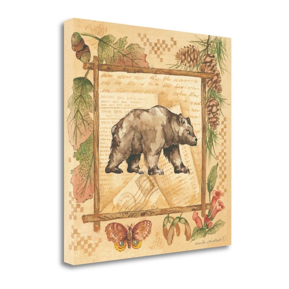 Bear by Anita Phillips - Fine Art Giclee Print on Gallery Wrap Canvas - Ready to Hang Wall Decor - Perfect for Living Room, Bedroom & Office