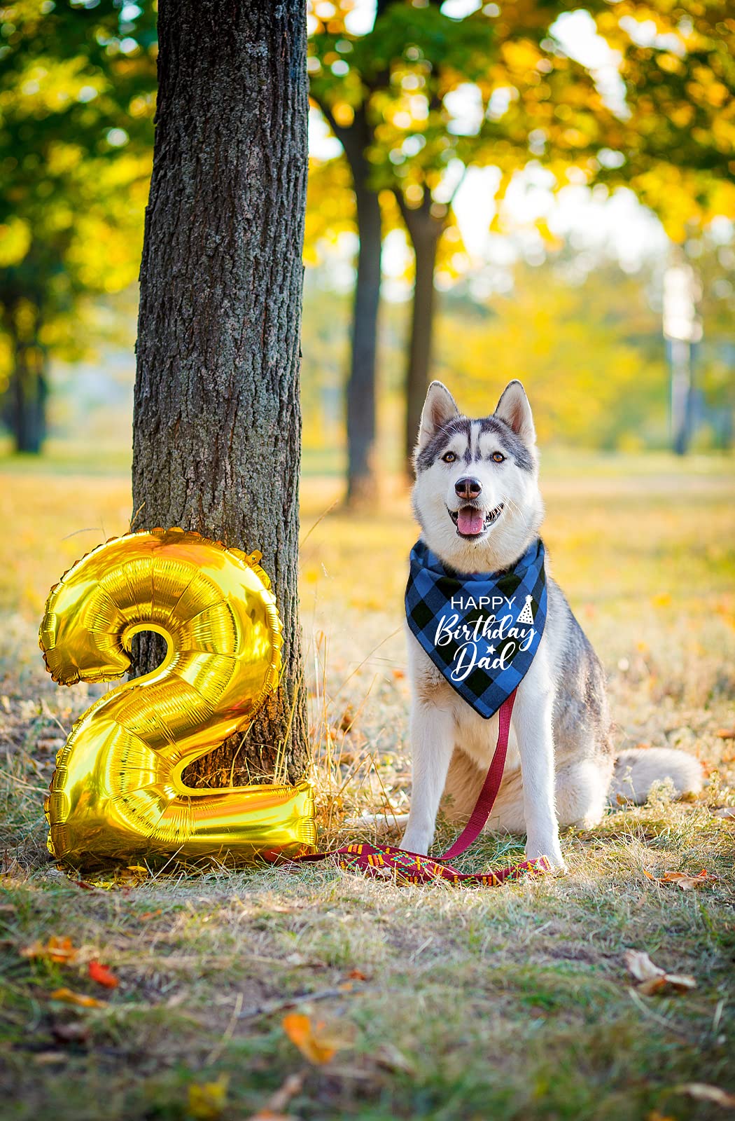 YHTWIN Funny Cute Cotton Blue Plaid Happy Birthday Dad Dog Bandana - Pet Birthday Party Decorations, Triangle Bib for Dog Lovers - Perfect Gift for Dog Birthday Celebrations & Photo Props
