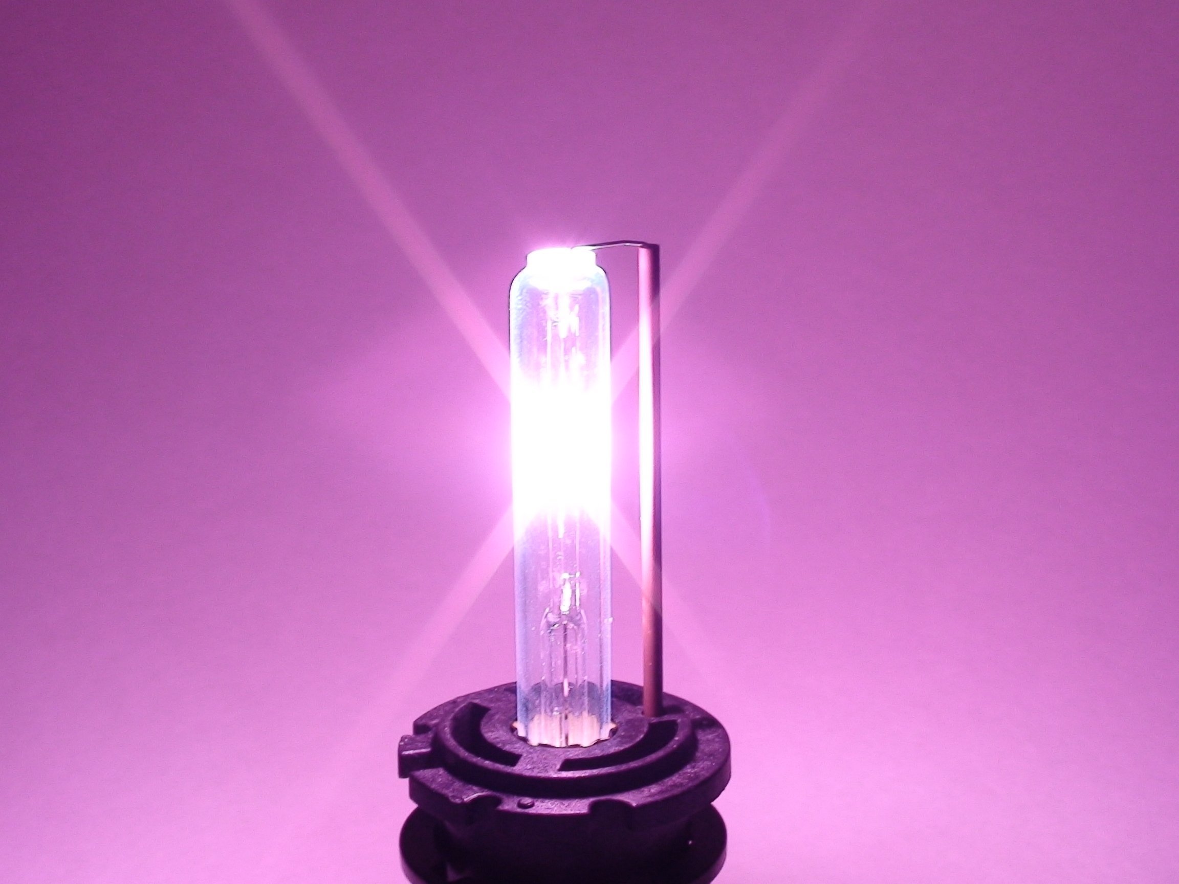 2 Pack Purple D2S Xenon HID Replacement Bulbs - High Performance Car Headlight Upgrade for Night Driving & Enhanced Visibility