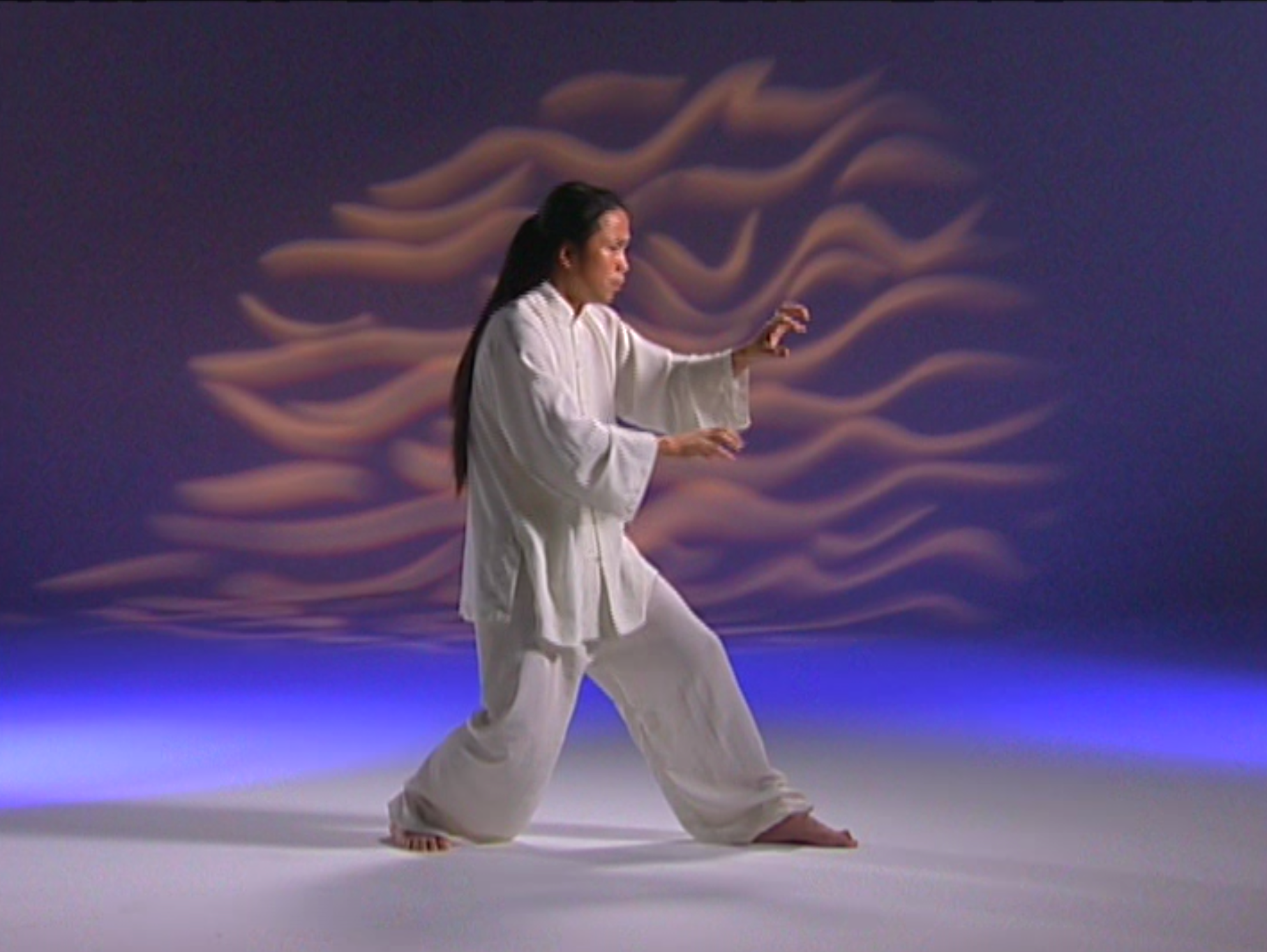 Authentic Chinese Shamanic Tiger Qigong DVD by Master Zhongxian Wu - Traditional Energy Healing & Martial Arts Training for Stress Relief, Fitness, and Spiritual Growth - Perfect for Home Practice, Meditation, and Self-Defense