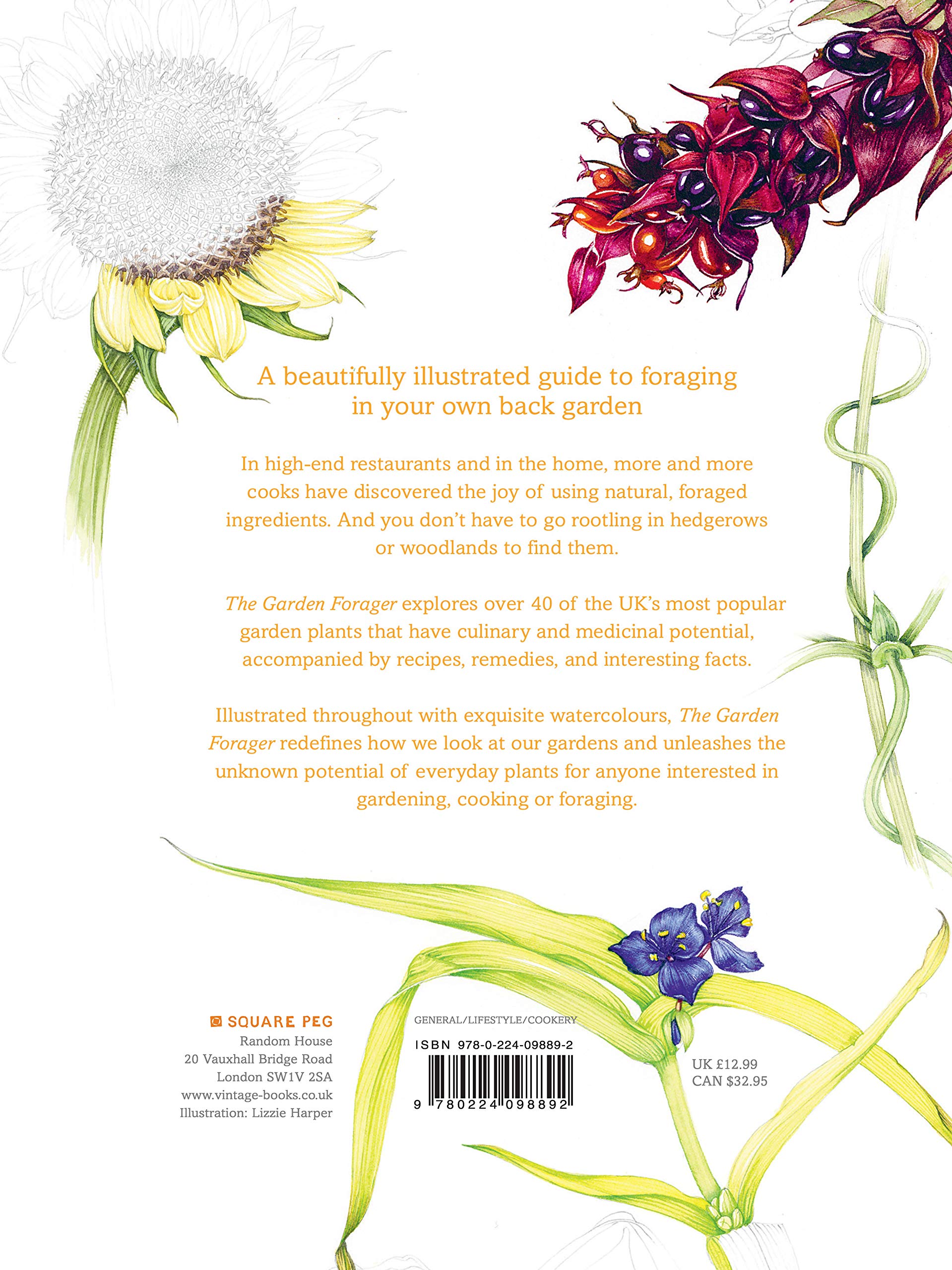 The Garden Forager: Discover Edible Plants & Delicious Wild Foods in Your Backyard - Perfect for Homesteading, Survival & Organic Gardening
