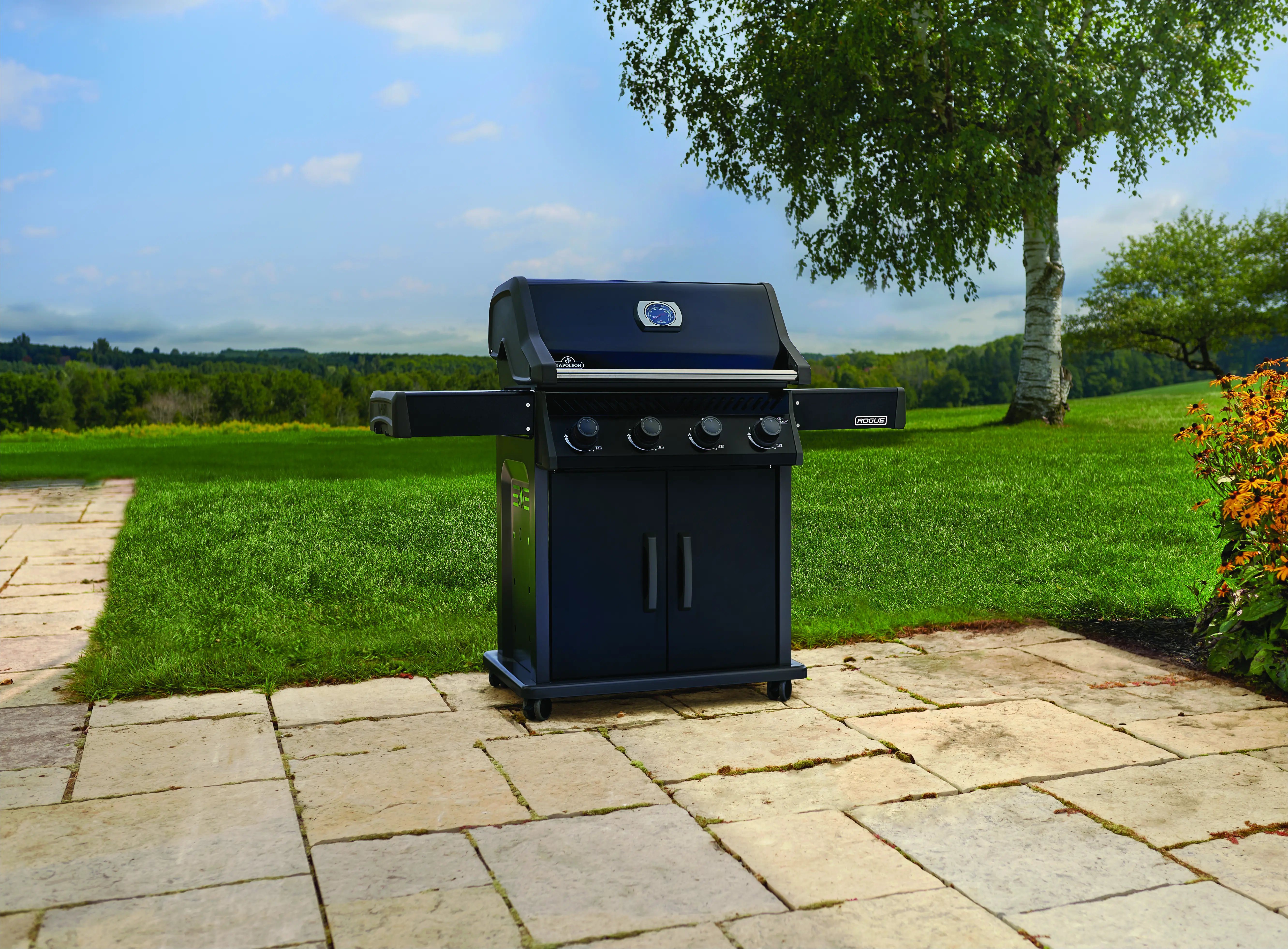 Napoleon Rogue 525 4-Burner Propane Gas Grill with Stainless Steel Grates - Perfect for Backyard BBQs, Outdoor Cooking & Patio Entertaining