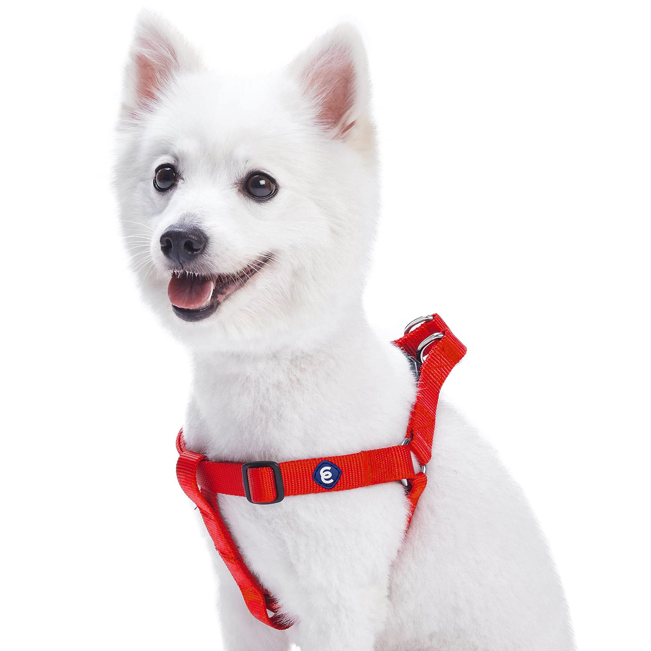 Blueberry Pet Essentials Adjustable No-Pull Dog Harness for Small Dogs - Classic Nylon Step-In Harness in Rouge Red | Perfect for Walking, Training & Outdoor Adventures