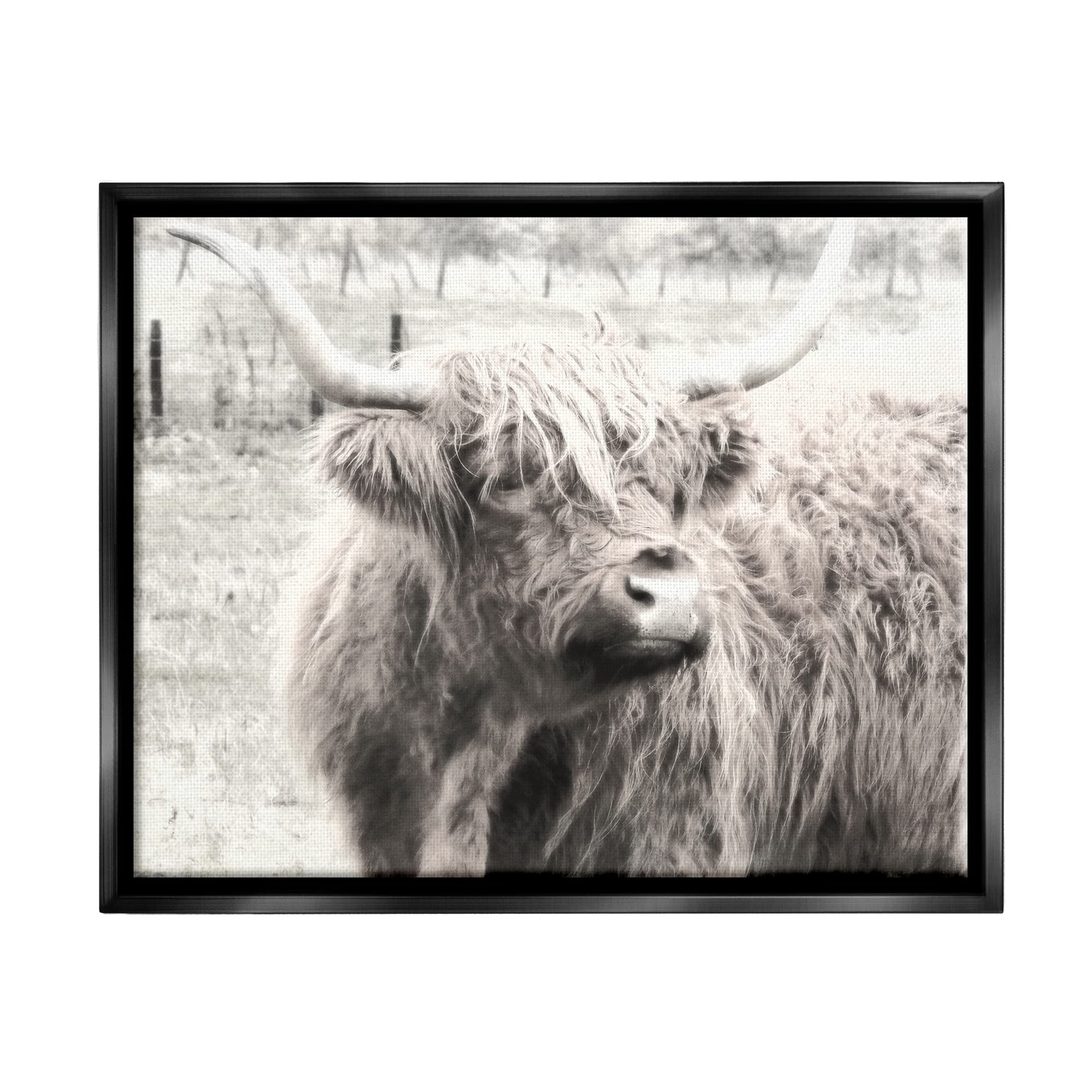 Stupell Industries Rustic Farm Highland Cattle Cow Black & White Wall Art - Graffitee Studios Photography - Perfect for Farmhouse Decor, Living Room & Country Style Homes