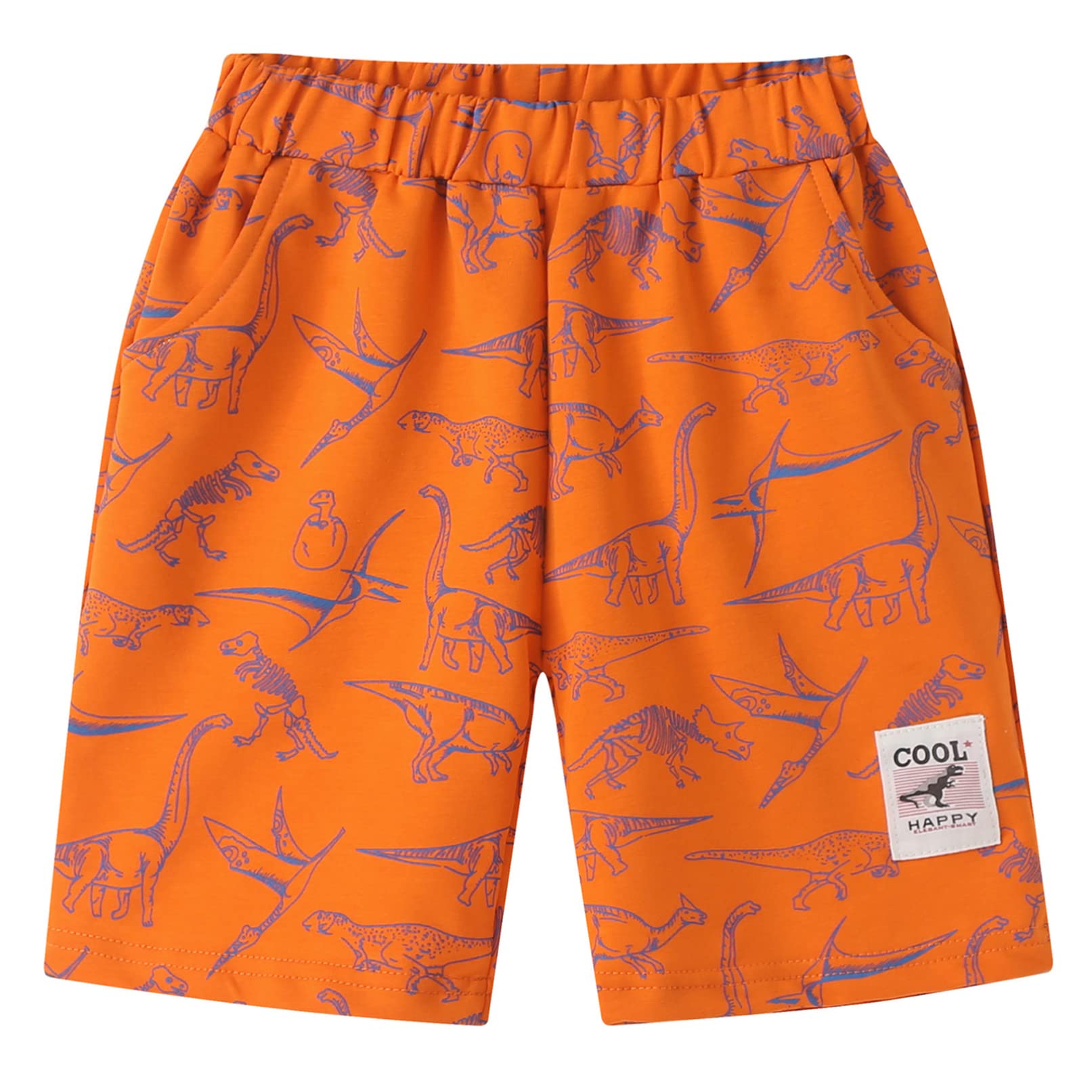 Dinosaur Athletic Shorts for Boys - Elastic Waist Sports Shorts with Pockets | Summer Casual Wear for Kids Outdoor Play, Sports & Daily Activities