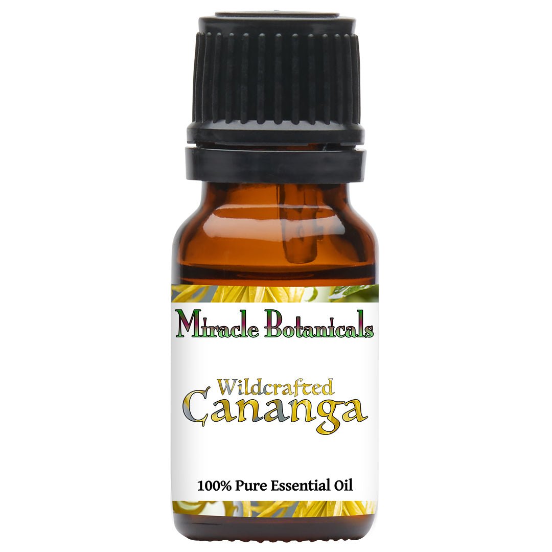 Pure Wildcrafted Cananga Essential Oil (Cananga Odorata var. Macrophylla) - Natural Aromatherapy for Relaxation, Massage & Stress Relief