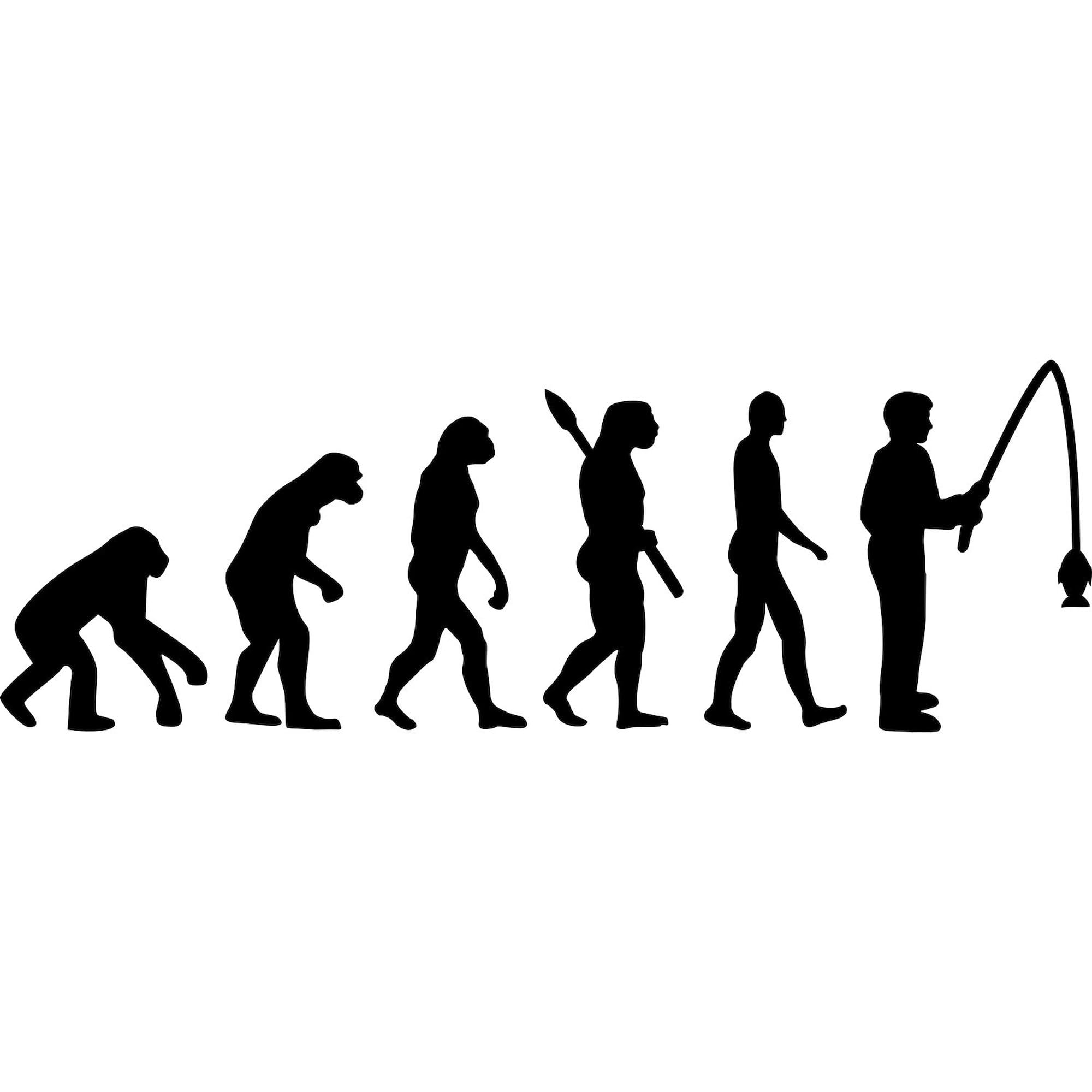 Evolution Fishing Man Oval Car Bumper Sticker - Durable Vinyl Decal for Trucks, Cars & Windows | Perfect Gift for Anglers & Fishing Enthusiasts | Great for Outdoor Adventures & Fishing Trips