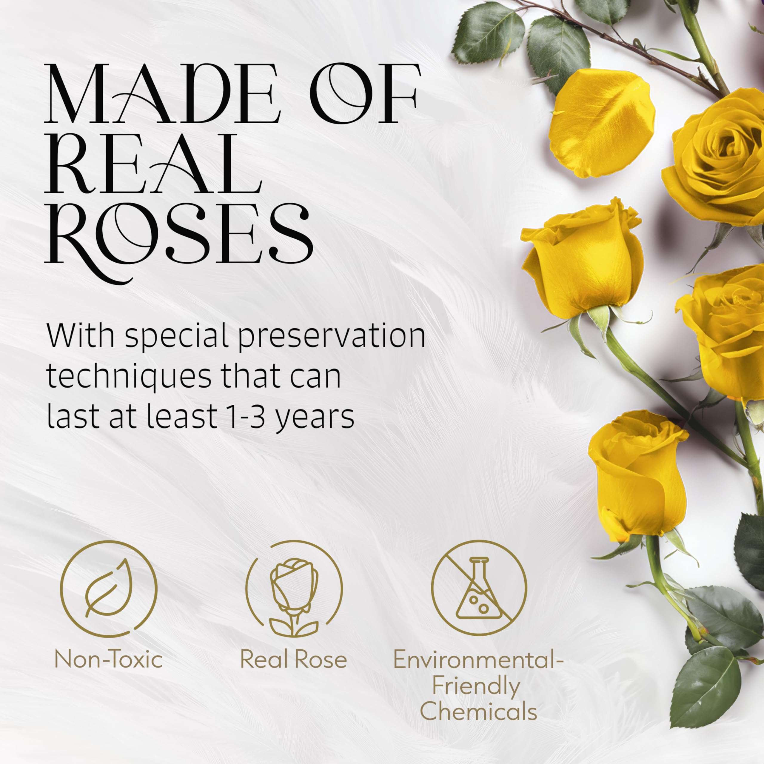 Eternal Preserved Roses in a Gift Box - Forever Roses for Women, Romantic Birthday Gifts for Her, Anniversary Present, Home Decor & Wedding Centerpiece - Yellow Preserved Flowers for Lasting Beauty