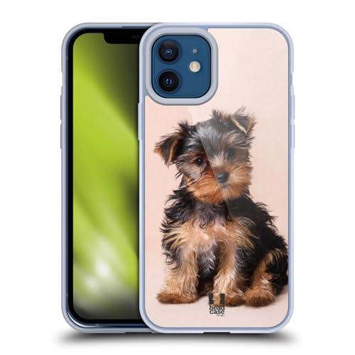 Yorkshire Terrier Puppy