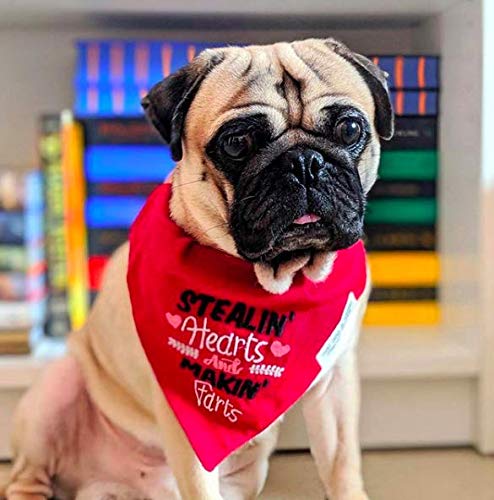 Stylish Red Embroidered Tuxedo Dog Bandana with Adjustable Collar - XL Size for Formal Occasions & Photo Shoots