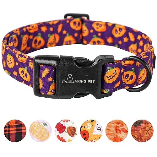 Halloween Pumpkin