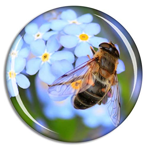Hoverfly