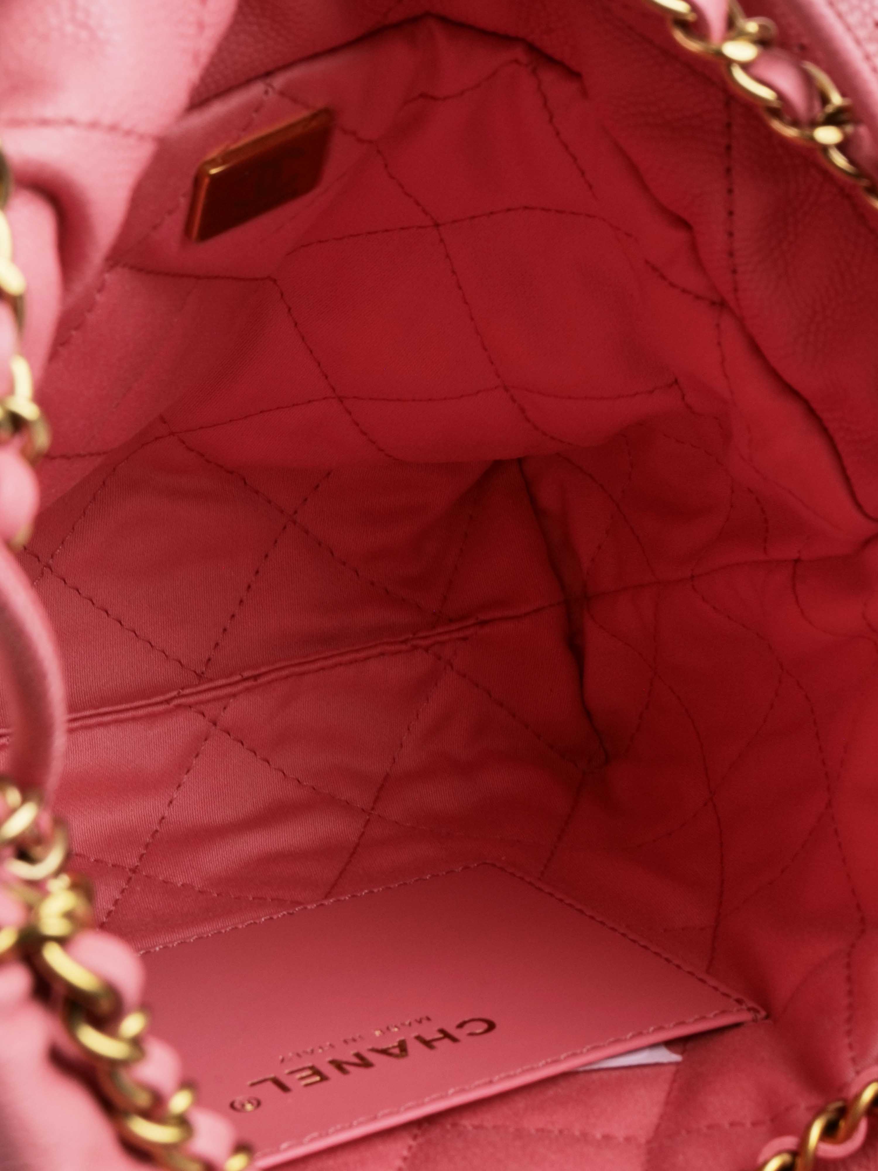 Chanel 22 Mini Shoulder Bag in Pink | Luxury Designer Crossbody Purse for Women | Perfect for Date Night, Parties & Special Occasions