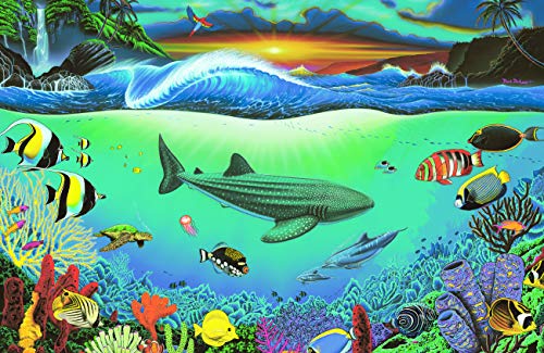 Sea Dreams