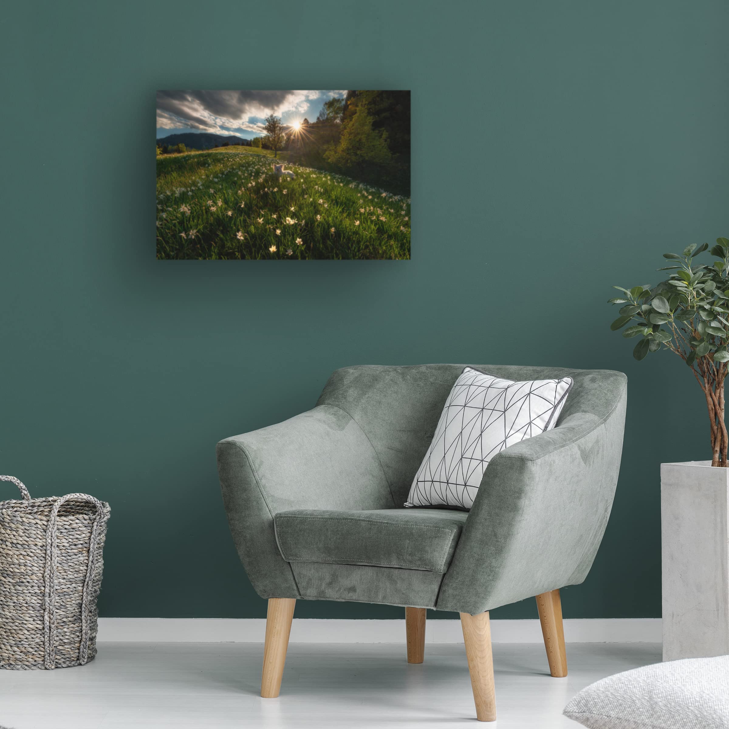 Trademark Fine Art 'Among The Daffodils' Canvas Wall Art Print by Ales Krivec - Floral Landscape Painting for Living Room, Bedroom & Office Decor