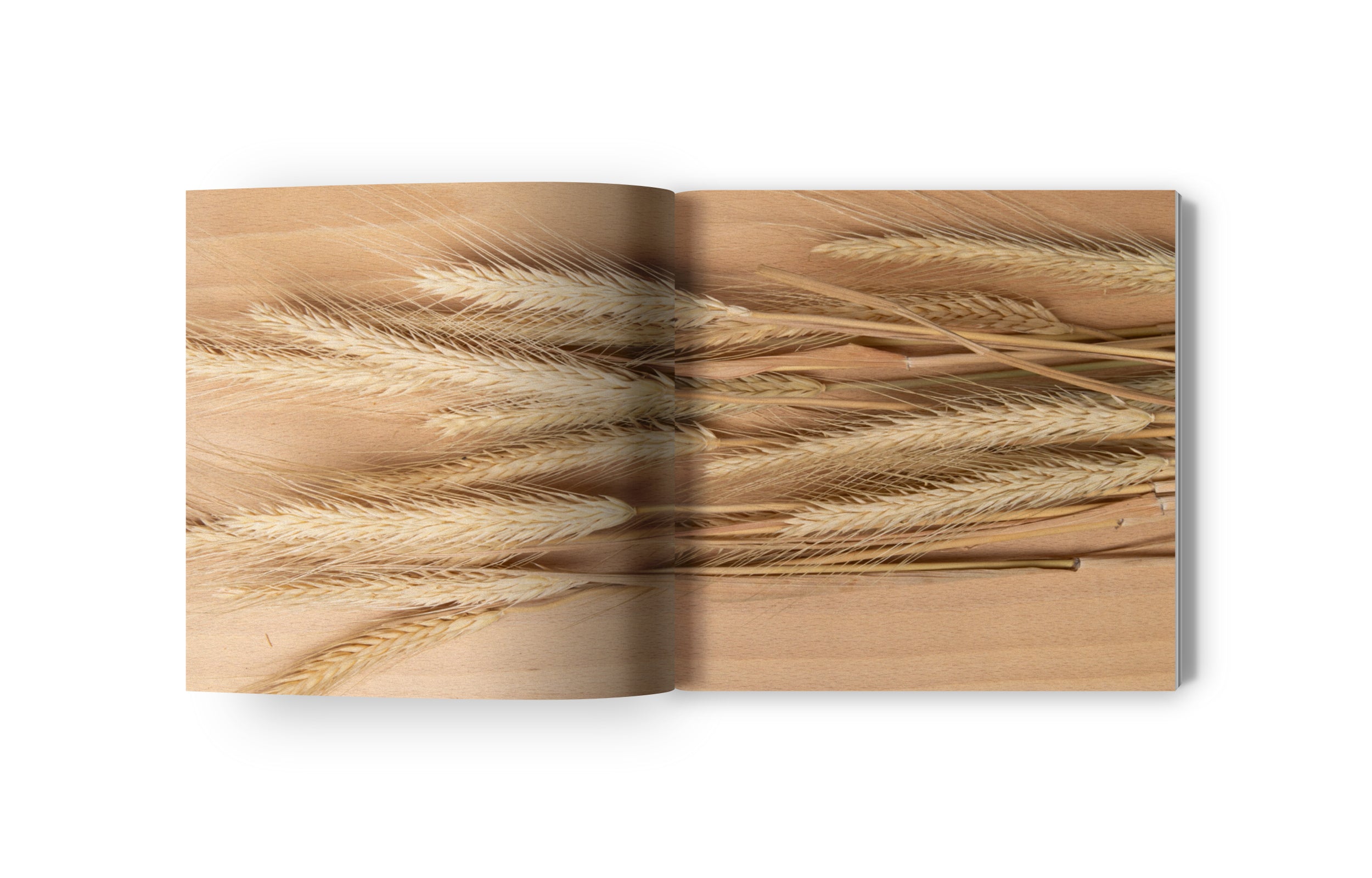 NATURE´S MUSE Tranquil Artistry Wall Decor - Sustainable Home Decor for Eco-Friendly Living - Perfect for Living Rooms, Bedrooms & Meditation Spaces