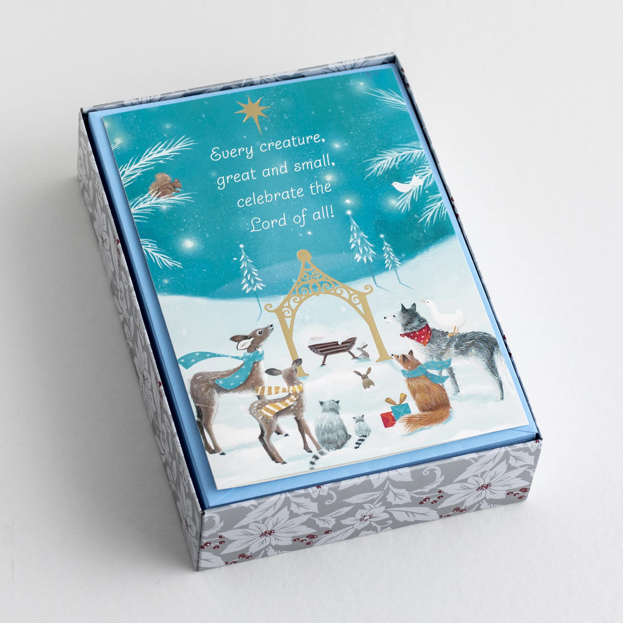 DaySpring 18 Christmas Cards with Bible Verses & Envelopes - Blue Religious Holiday Greeting Cards Featuring 'Every Creature' Design for Christian Celebrations, Church Events & Family Gatherings