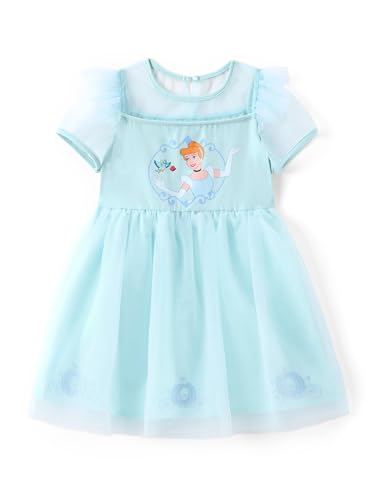 Princess Cinderella Blue