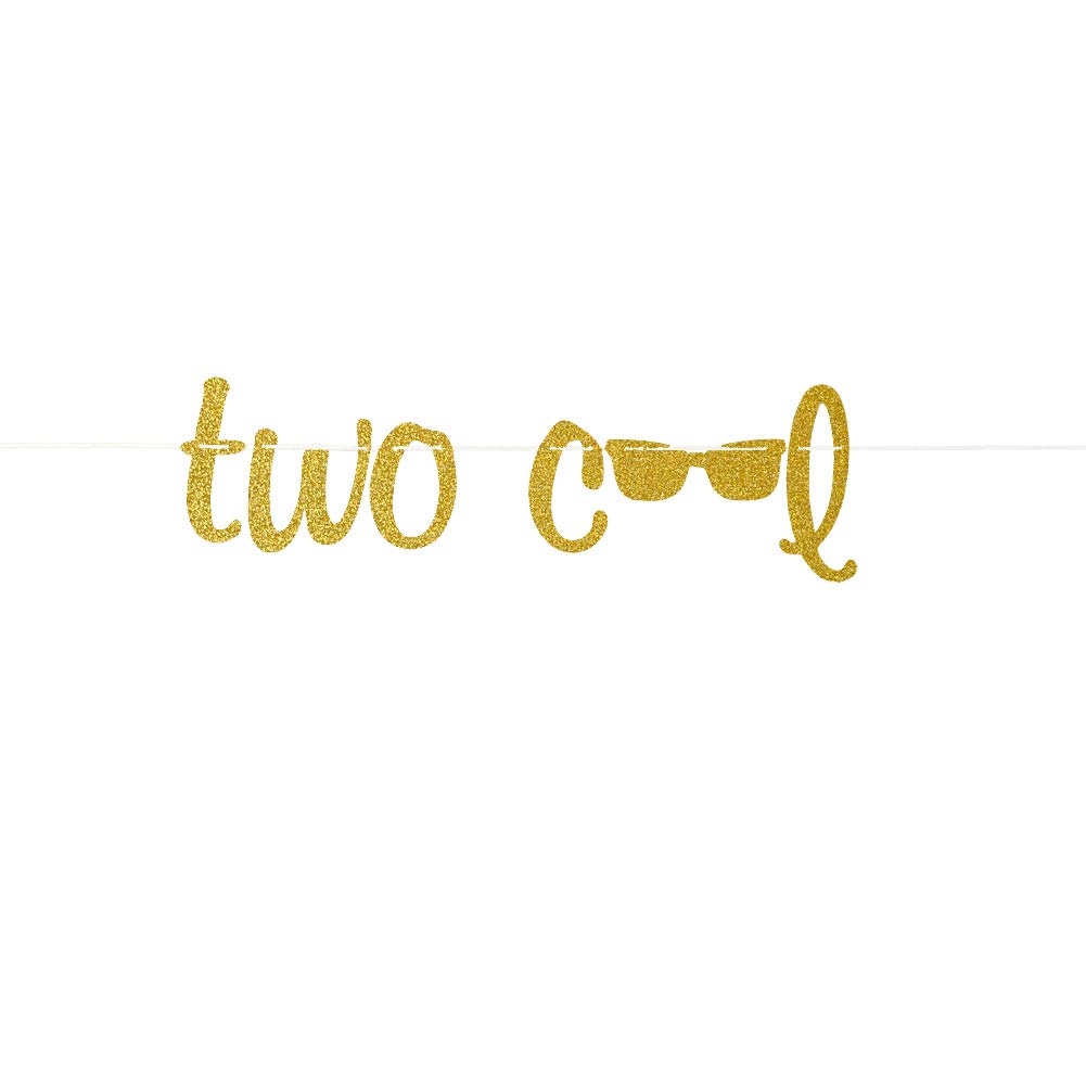 Funny 2nd Birthday Party Decorations - Gold Two Cool Banner for Boys & Girls | Perfect for Birthday Parties, Baby Showers & Photo Backdrops