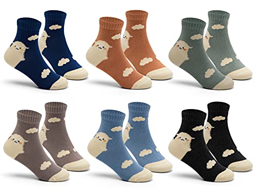 Mix 6 Pairs 8102/Boys