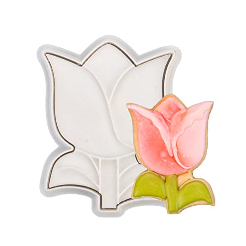 Tulip