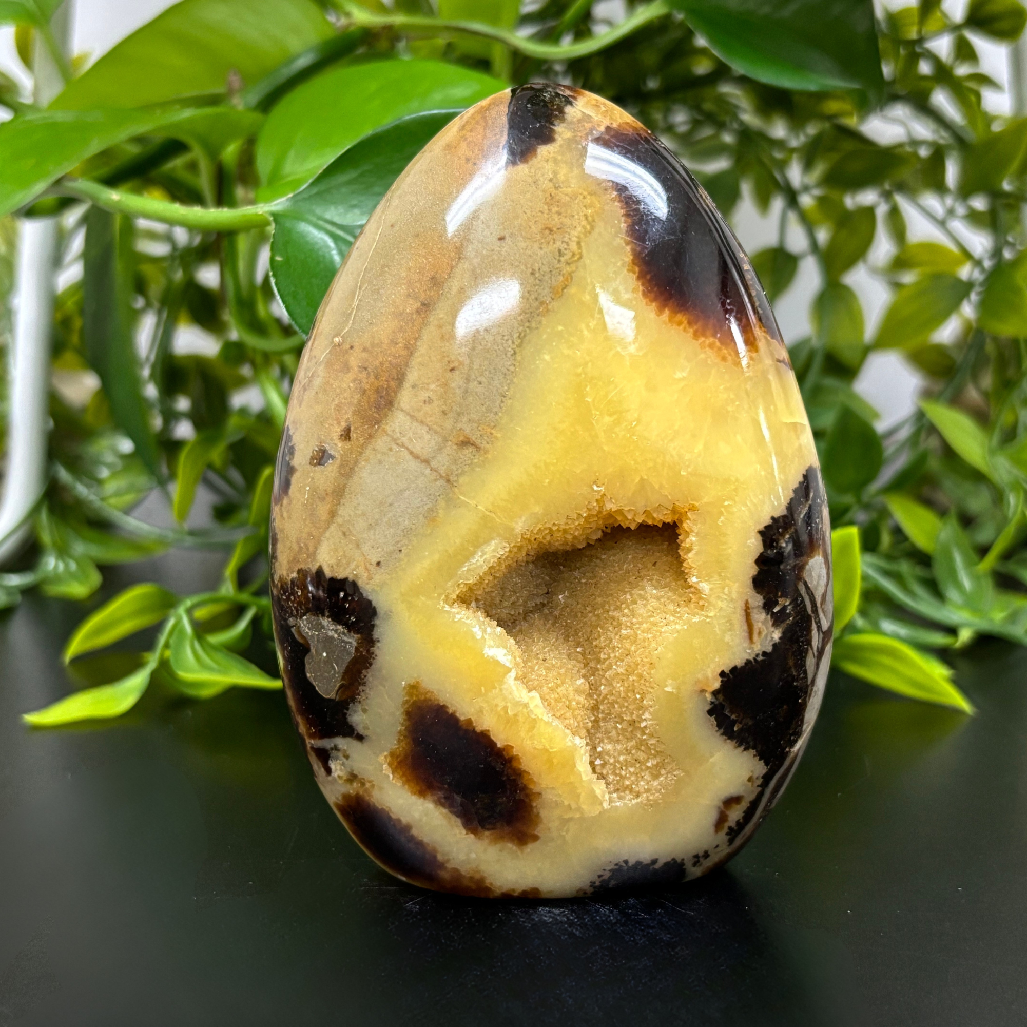 Natural Septarian Freeform Standing Rock - Unique Home & Office Decor | RPS456 | Perfect for Feng Shui, Meditation & Crystal Healing