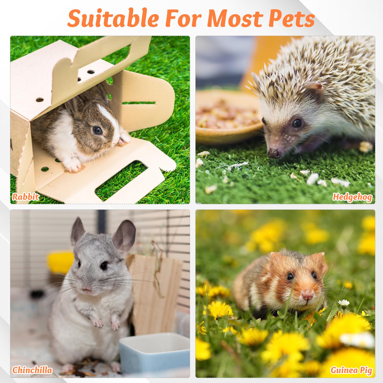 Didiseaon 6pcs Bunny Teething Toys - Carrot Rabbit Chew Toys for Small Animals, Guinea Pig, Hamster, Rat, Gerbils & Chinchilla - Safe Molar Gnawing Treats with Straw Grass for Dental Health and Stress Relief