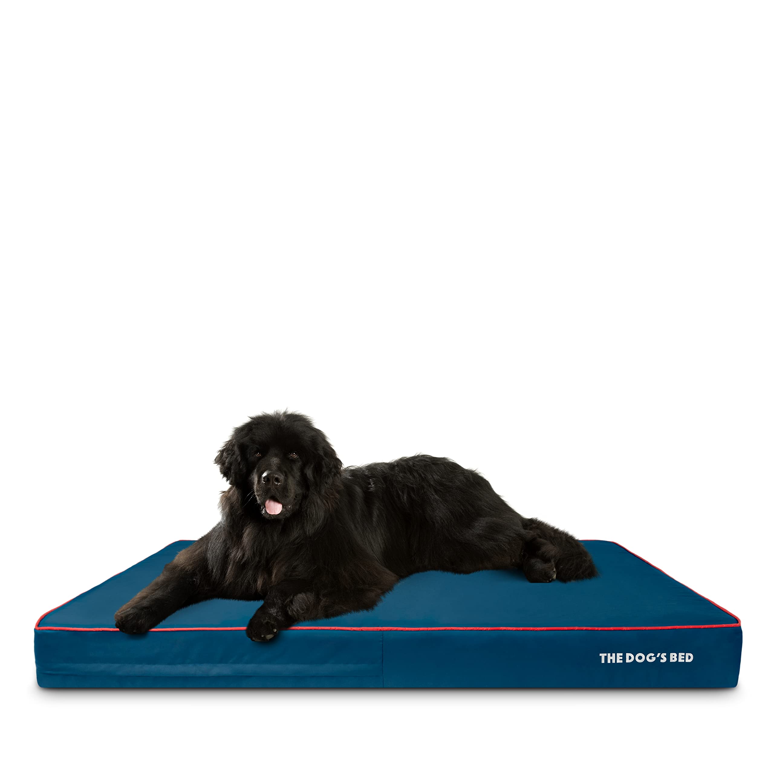 Orthopedic Memory Foam Dog Bed for Large Dogs - XXXL 64x44 Inches, Blue/Red, Pain Relief for Arthritis, Hip & Elbow Dysplasia - Post-Surgery Support with Waterproof Washable Cover - Ideal for Elderly Dogs & Pets with Joint Issues - Perfect for Living Room, Bedroom or Crate Use
