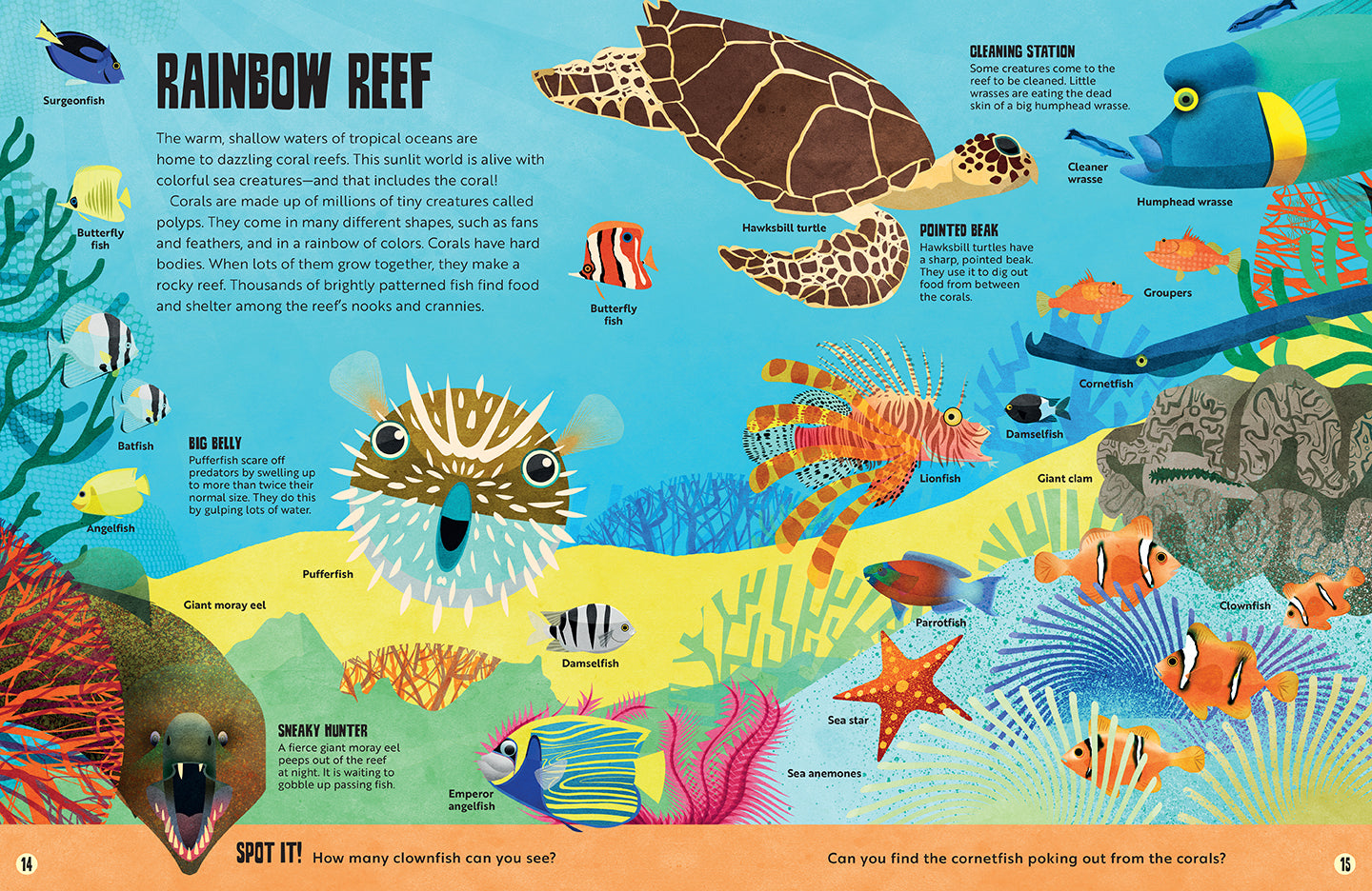 My First Oceans Atlas - Educational Kids Ocean Book for Learning Marine Life - Perfect for Homeschooling & Classroom Activities