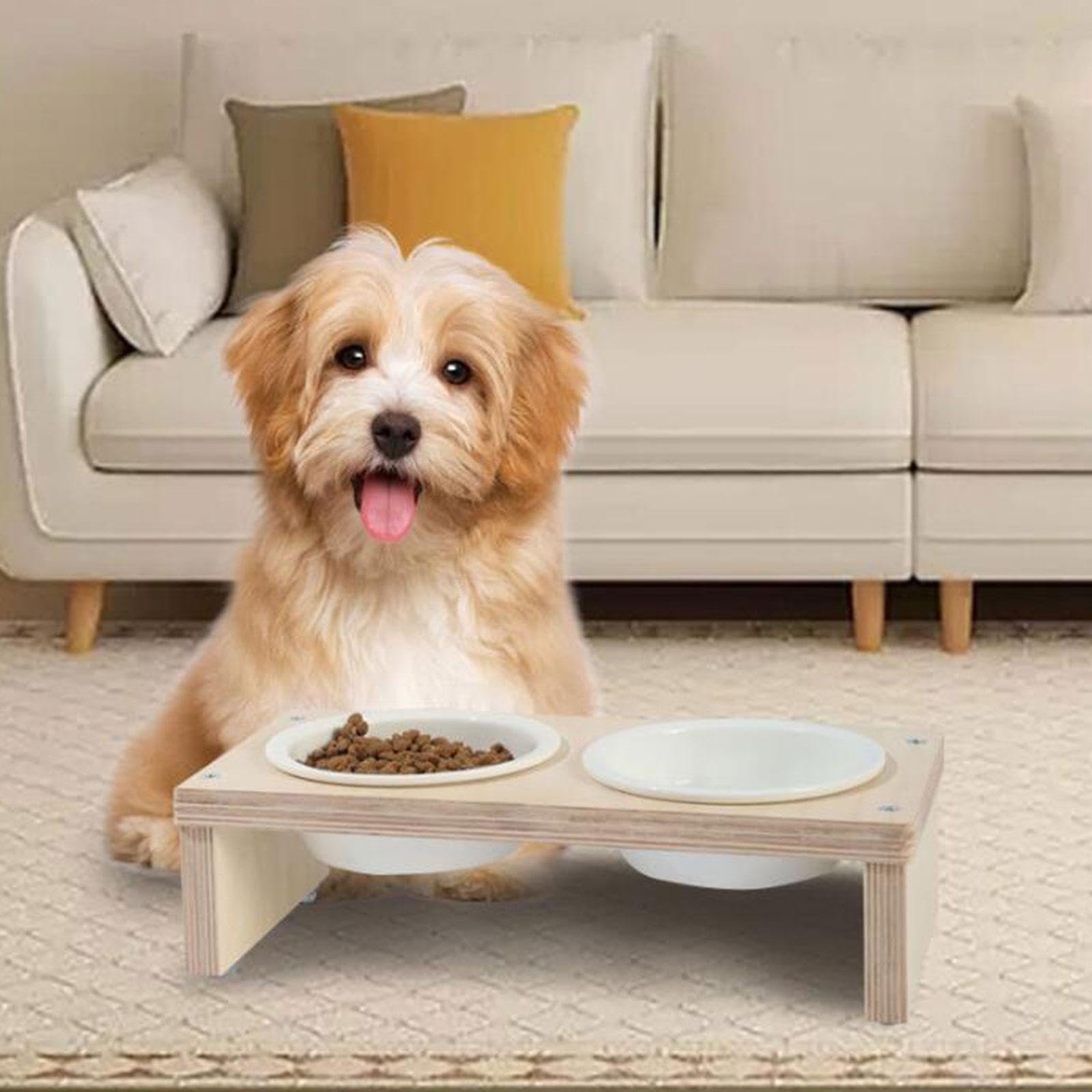 **Enakshi Elevated Cat and Dog Bowls with Neck Protection - Stainless Steel Raised Pet Food & Water Dishes for Healthy Eating - Perfect for Small, Medium, and Large Pets - Ideal for Home, Kitchen, or Travel Use**