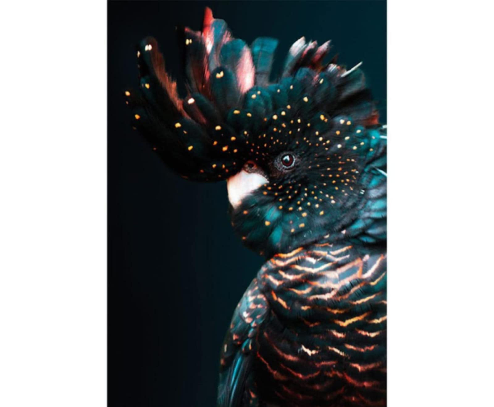 5D Diamond Painting Kits for Adults & Kids - Cockatoo Animal Full Drill Round Diamond Art | 11.8x15.7 Inch DIY Wall Decor for Living Room, Bedroom & Office | Perfect Gift for Craft Lovers & Home Decoration