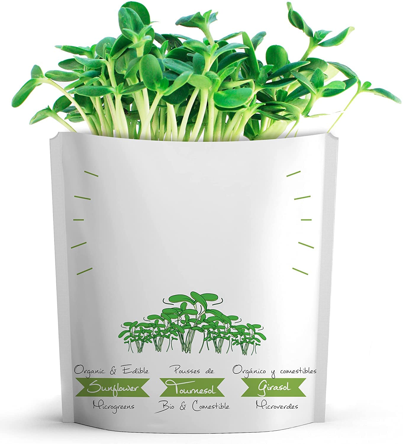 Organic Microgreens Greeting Card - Plantable Postcard for All Occasions | Eco-Friendly Gift