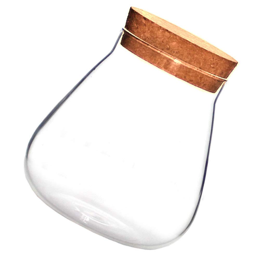 Cabilock Clear Glass Terrarium Container - Airtight Bubble Glass Jars with Lids for Miniature Landscapes, DIY Planters, Home Decor & Office Desk Decorations