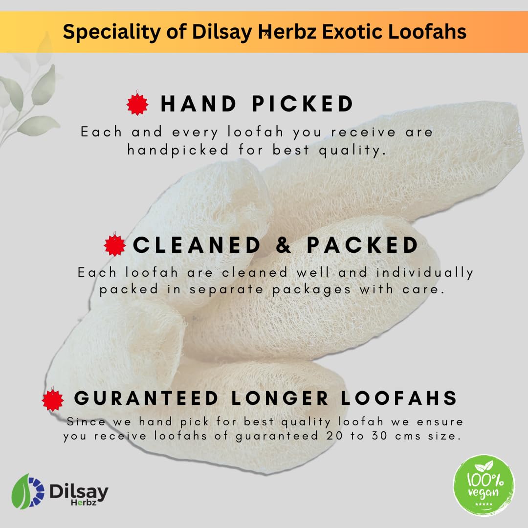 Organic Loofah Bath Scrubber for Men & Women - Extra Long Hand-Picked Natural Exfoliating Sponge - Pack of 3 | Perfect for Shower, Spa & Body Scrub | Eco-Friendly Peerkangai Bath Scrubber