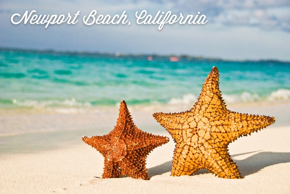 Premium 16x24 Starfish on Beach Metal Art - Newport Beach, California - Gallery Quality Aluminum Wall Decor for Coastal Living Room, Beach House, or Office