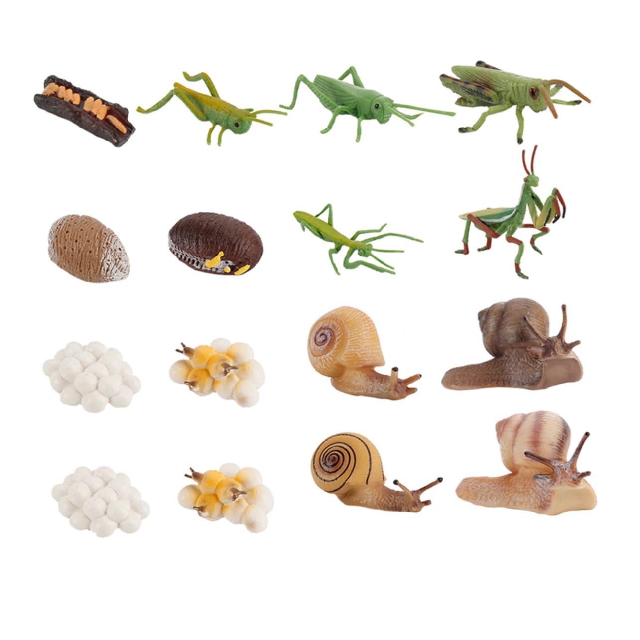 Vaguelly 16pcs Praying Mantis & Locust Life Cycle Model Set - Educational Growth Cycle Figures for Kids - STEM Learning Toys for Science Classrooms & Homeschooling (Perfect for Biology Lessons & Insect Study)