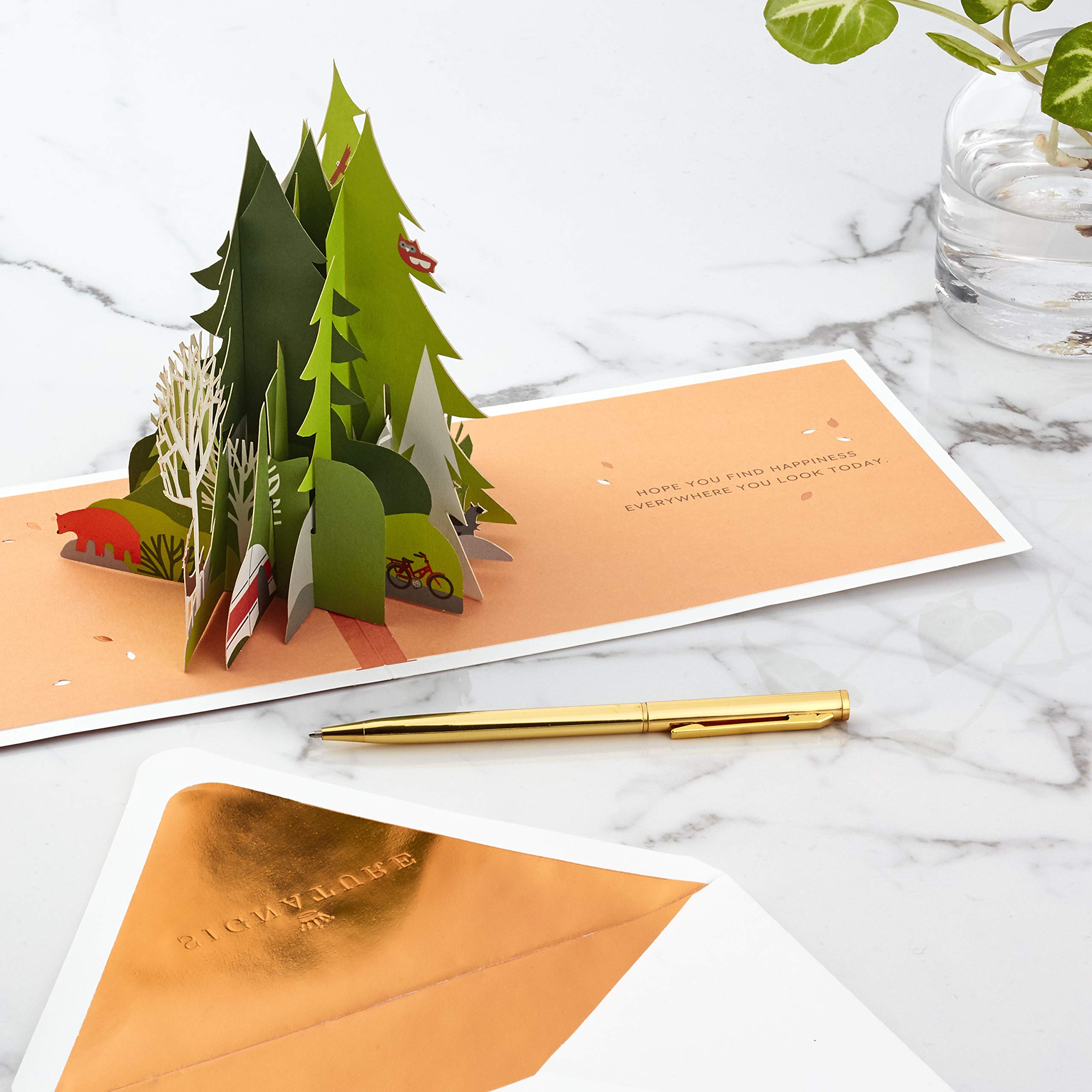 Hallmark 3D Pop Up Birthday Card for Men - Adventure Awaits Signature Paper Wonder | Perfect for Husband, Boyfriend, Father's Day & Special Occasions