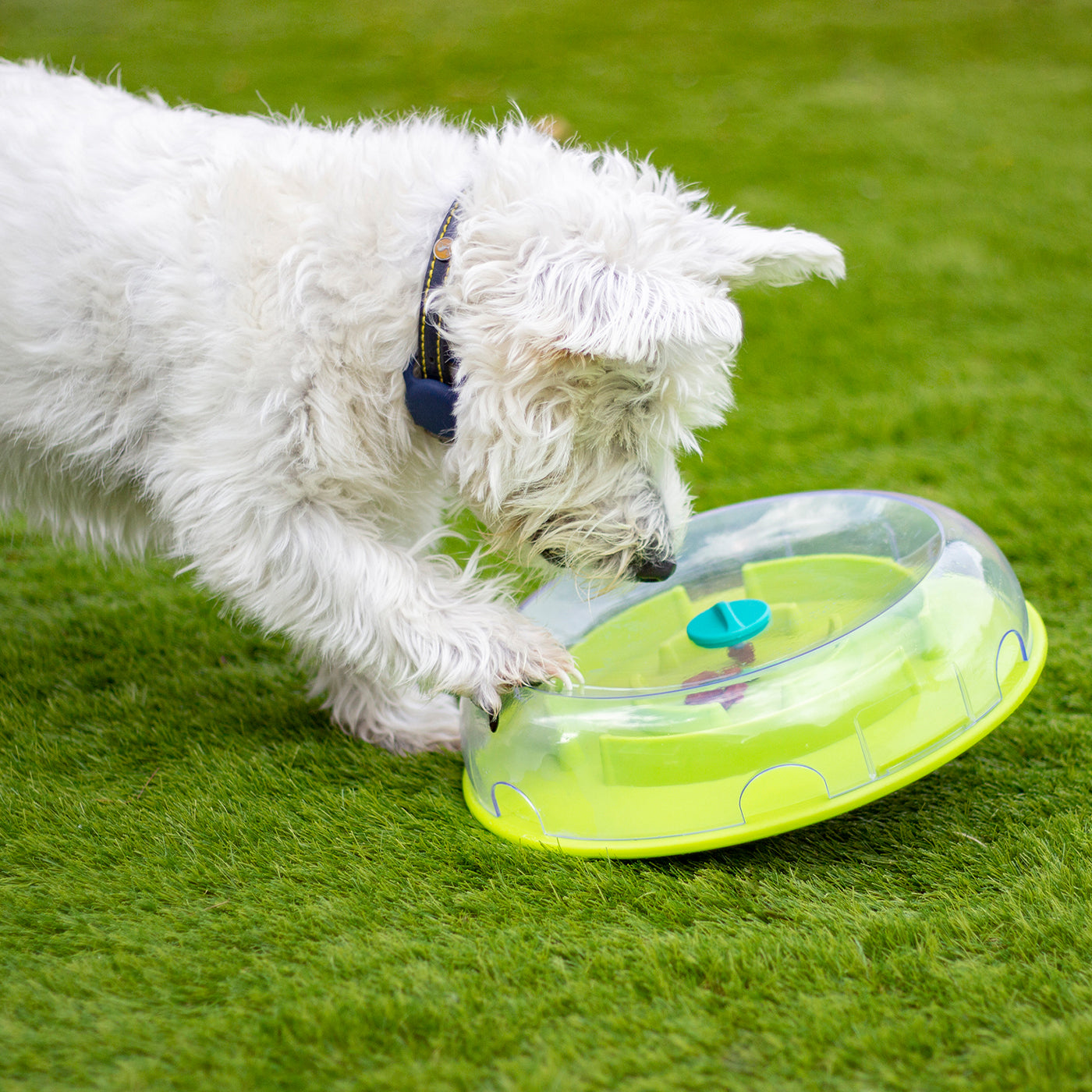 Nina Ottosson Wobble Bowl Interactive Slow Feeder Dog Puzzle Game - Fun Mealtime Challenge for Small & Large Dogs - Perfect for Boredom Relief & Mental Stimulation