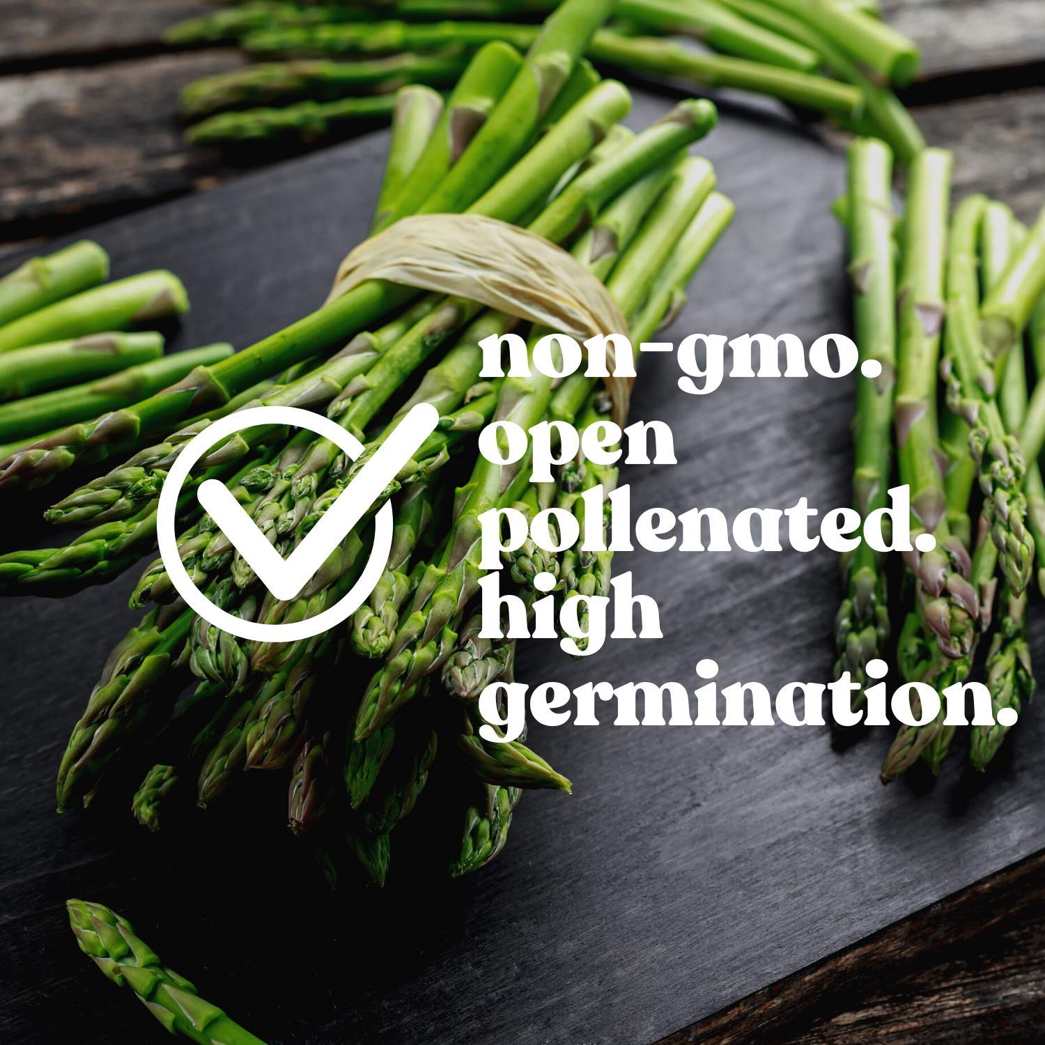 Non-GMO Asparagus Seeds - 60 Perennial Garden Seeds for Home Vegetable Planting