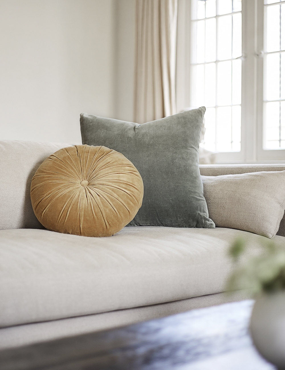 Charlotte Velvet Pillow - Soft Luxury Decorative Throw Pillow for Sofa, Bed & Couch - Perfect for Living Room, Bedroom & Home Decor